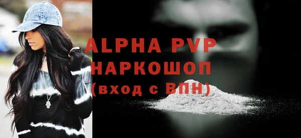 тгк Каменногорск