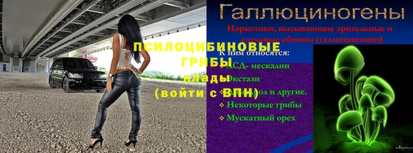 стафф Абаза