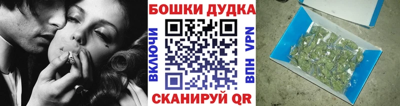 Конопля OG Kush  Полярный 